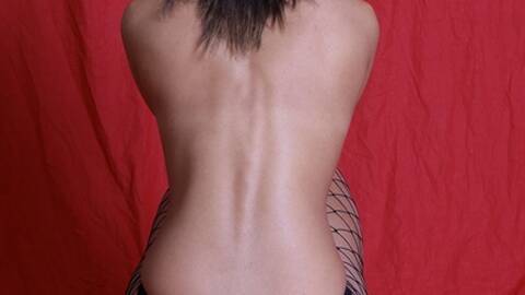 Femmina_alfa Femmina_alfa