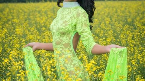 Wild_Storm Wild_Storm