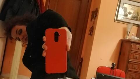 Tomyfelixgattina Tomyfelixgattina