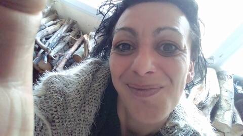 Moustique Moustique